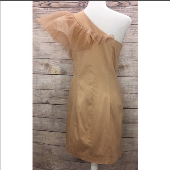 Badgley Mischka by Mark & James Ruffle Dress - Picture 5 of 8